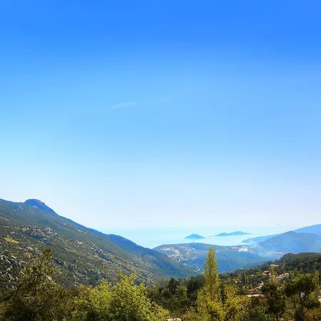 Private Loya * Islamlar (Mediterranean)